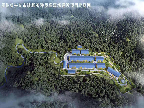 贵州省兴义市矮脚鸡种质资源场建设